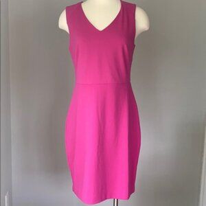 Banana republic factory NWT size 12 magenta sheath dress